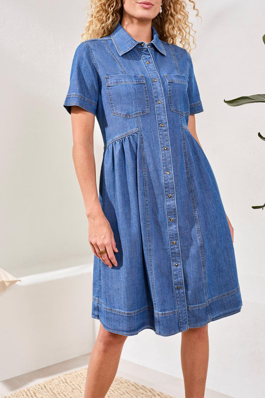 Button Down Denim Dress